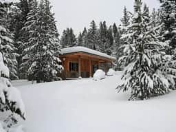 Mini Moose Cabin - Image 3