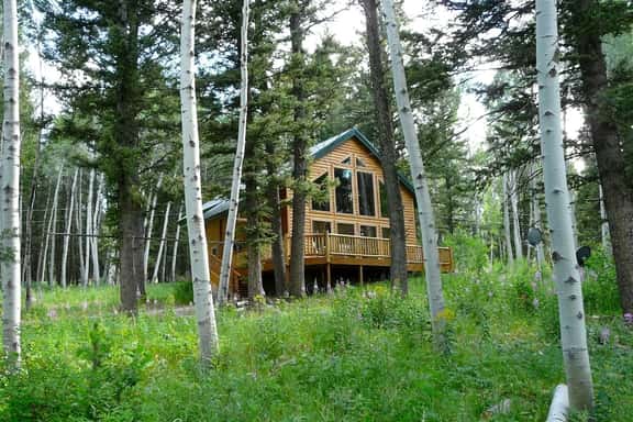 Mountain Lake Cabin near Henry’s Lake! - Image 1