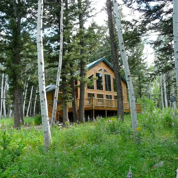 Mountain Lake Cabin near Henry’s Lake! - Image 1